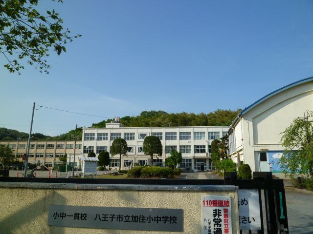 小学校　八王子市立加住小学校（小学校）まで1459m