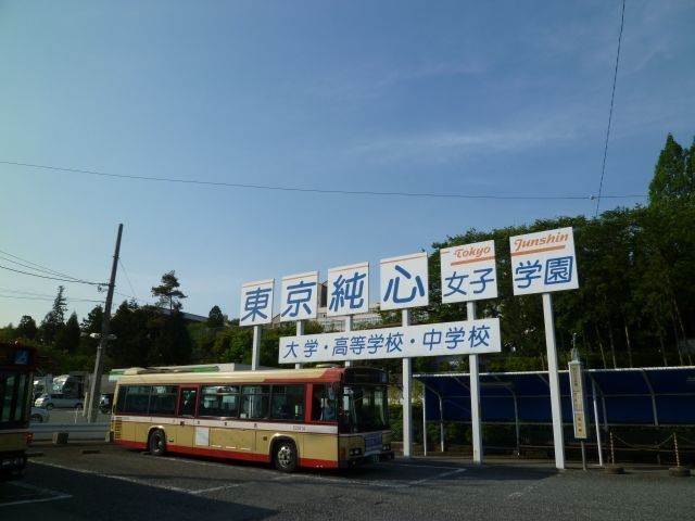 中学校　私立東京純心女子中学校（中学校）まで1307m