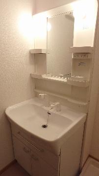 洗面設備　シャワー付でお掃除が楽チン♪