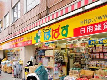 ドラックストア　どらっぐぱぱす入谷店（ドラッグストア）まで570m
