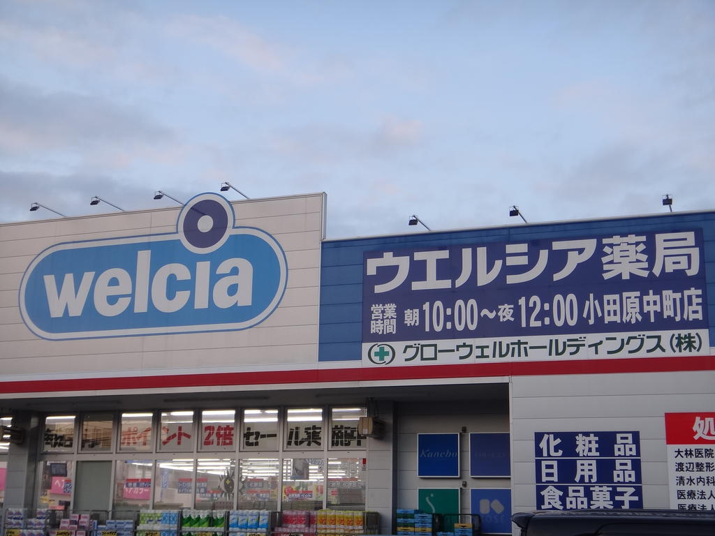 ドラックストア　ウェルシア（ドラッグストア）まで1250m