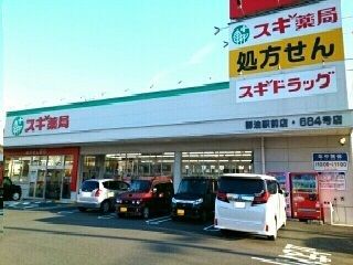 【豊川市御油町のアパートのドラックストア】