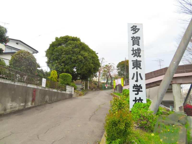 小学校　多賀城市立多賀城東小学校（小学校）まで711m