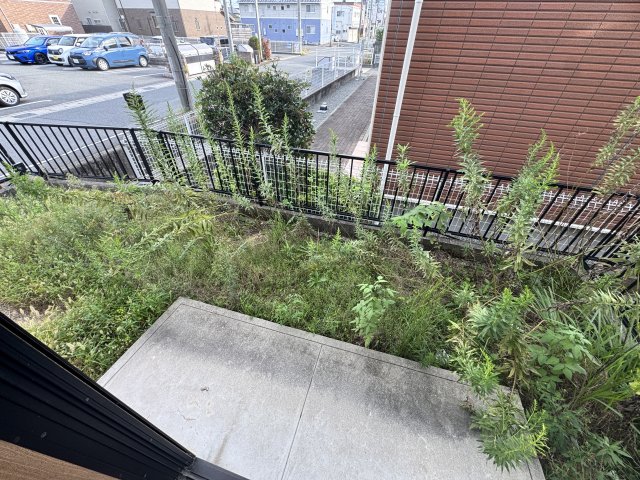 庭