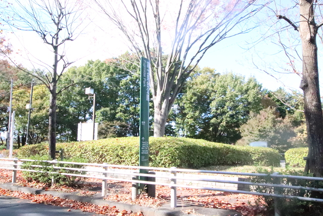 公園　富士見台公園（公園）まで200m