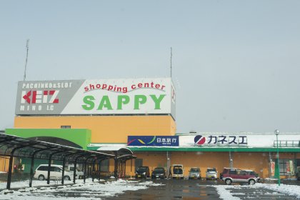 スーパー　サピーショッピングセンター（スーパー）まで799m