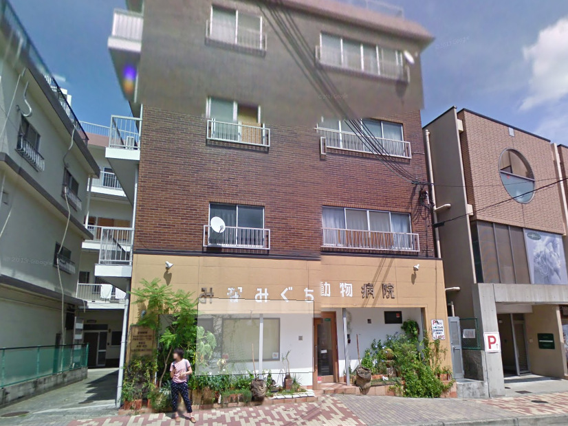 病院　みなみぐち動物病院（病院）まで1653m