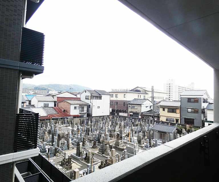 眺望　・３１１号室からの眺望です