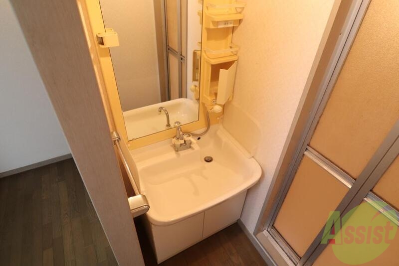 洗面設備　シャワーヘッド付の大きな洗面台です