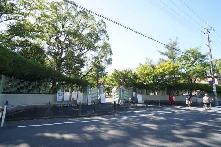 コンビニ　セブンイレブン　奈良大宮町５丁目店（コンビニ）まで243m