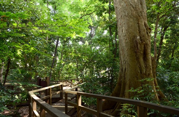 公園　千石緑地（公園）まで1359m