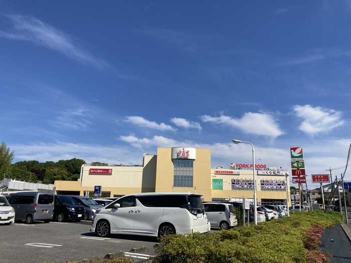 スーパー　ヨークフーズ新柏（スーパー）まで773m