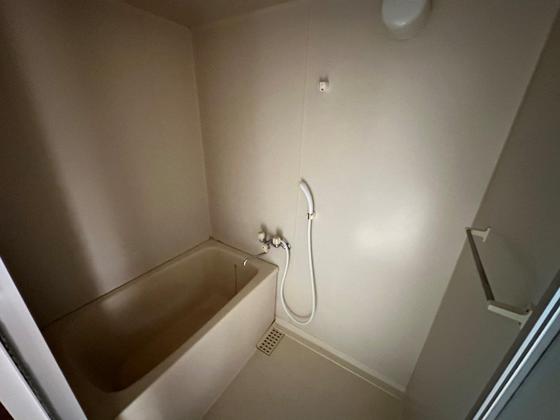 バス・シャワールーム　※別部屋の写真です