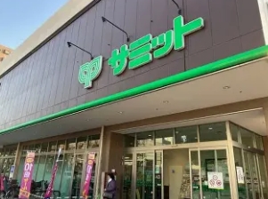 スーパー　サミットストア野沢龍雲寺店（スーパー）まで737m