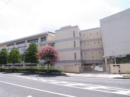 小学校　横浜市立神大寺小学校（小学校）まで622m