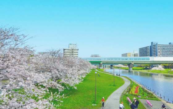 公園　亀戸九丁目緑道公園（公園）まで767m