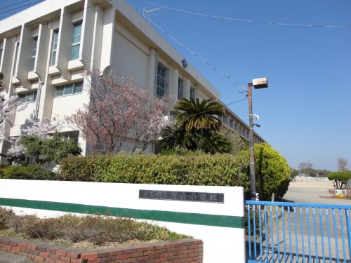 小学校　明石市立清水小学校（小学校）まで782m