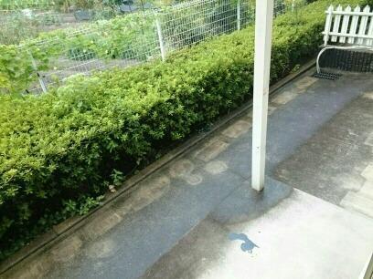 ＪＲ山陽本線 宝殿駅 徒歩19分 2階建 築30年の内装写真