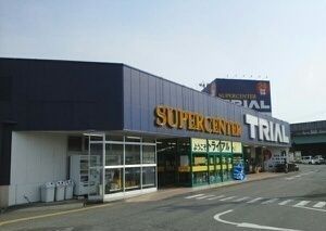 その他　トライアル甲府昭和店（その他）まで300m