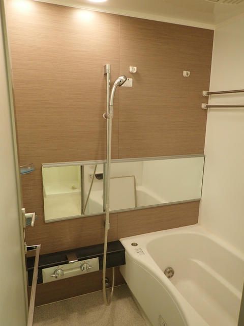 Brillia武蔵小山idの風呂写真
