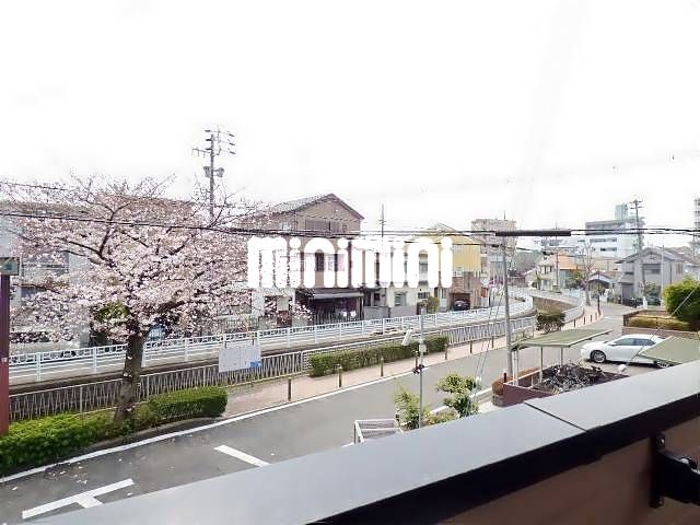 眺望　目の前は桜並木です