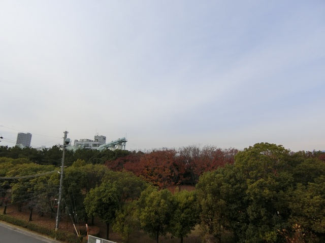 眺望　４F眺望