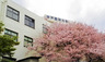 大学・短大　神戸薬科大学（大学・短大）まで1161m