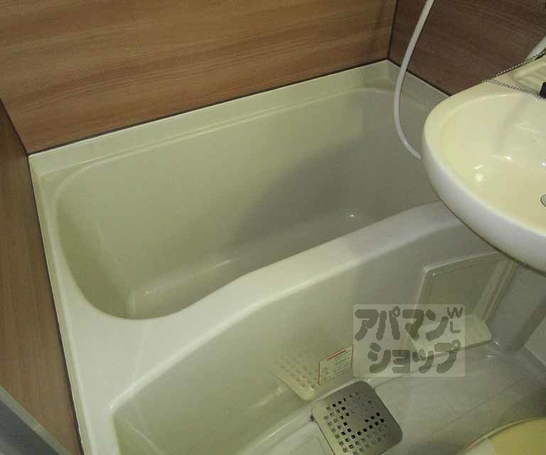 バス・シャワールーム　２０３号室の写真です。