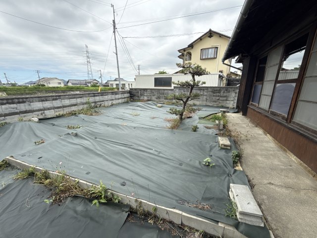 庭