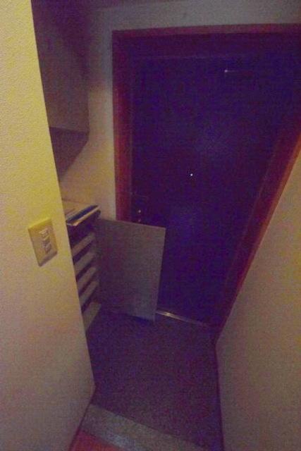 玄関　※別部屋の参考写真です。