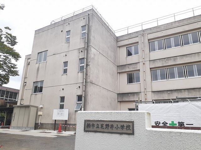 小学校　柏市立花野井小学校（小学校）まで1100m
