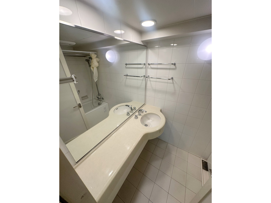 洗面設備　内装もきれいです
