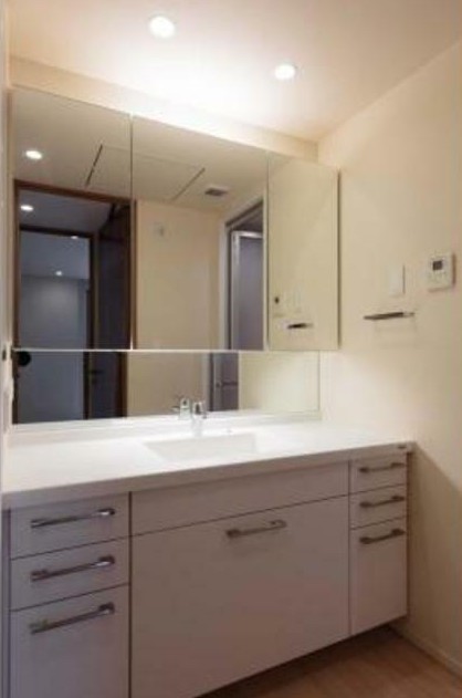 洗面設備　別のタイプのお部屋です