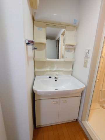 洗面設備　一ツ橋フォレスター (別部屋参考画像)