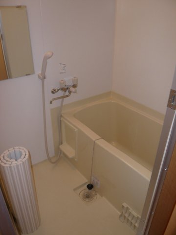 バス・シャワールーム　同タイプの写真です。