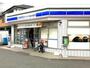 コンビニ　ローソン・スリーエフこどもの国駅前店（コンビニ）まで553m