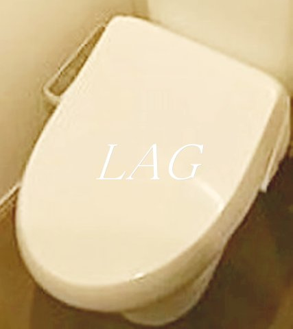 トイレ　トイレです。（同仕様です。）