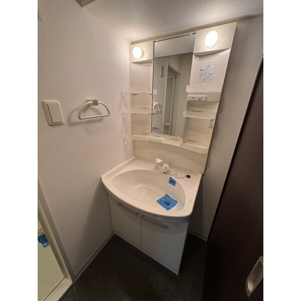 洗面設備　シャワードレッサー付きです！