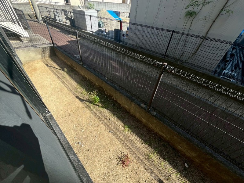 庭