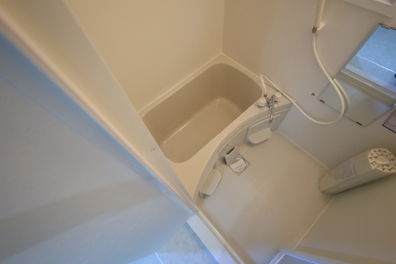 バス・シャワールーム　※別部屋の写真です
