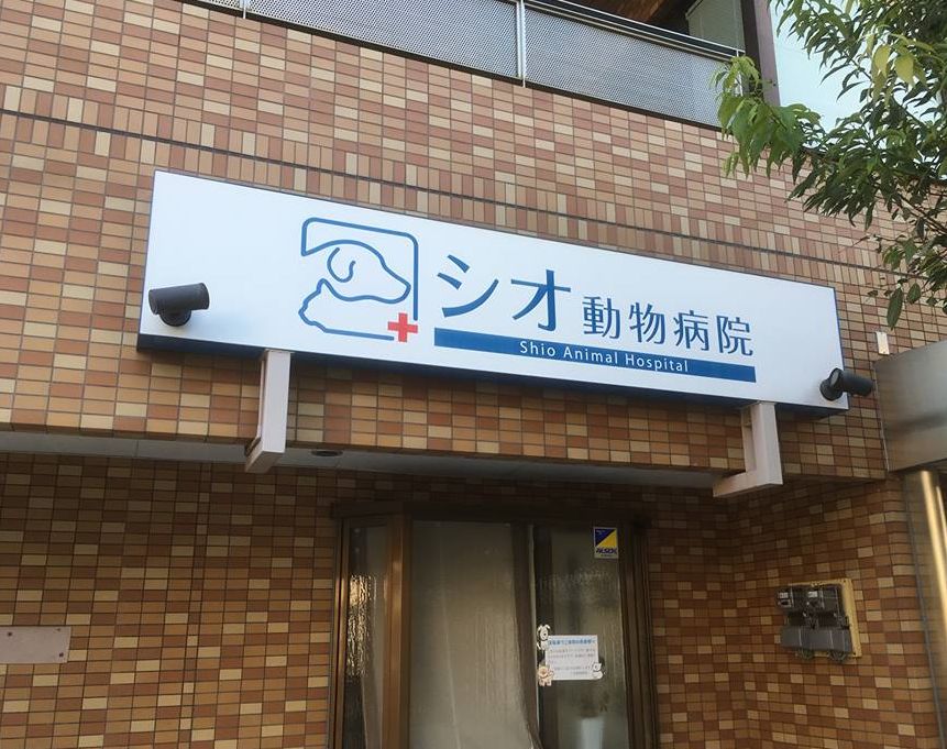 病院　シオ動物病院（病院）まで134m