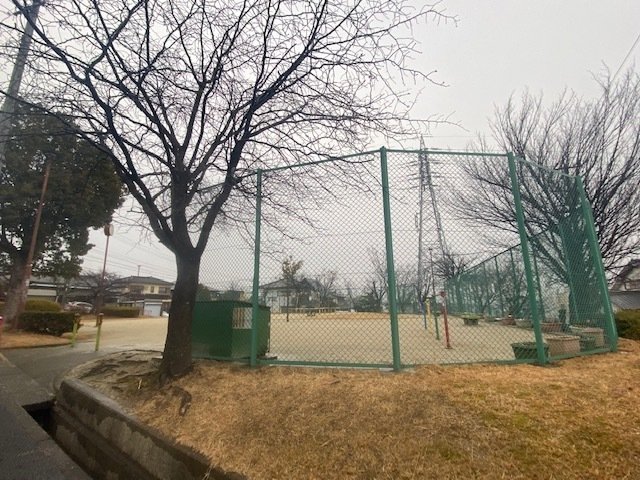 庭