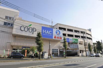 ドラックストア　ハックドラッグ片倉コープ店（ドラッグストア）まで72m