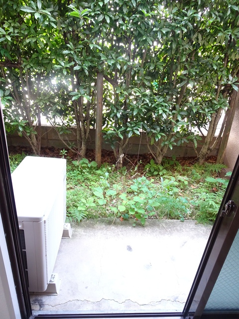 眺望　お部屋からの景色です♪