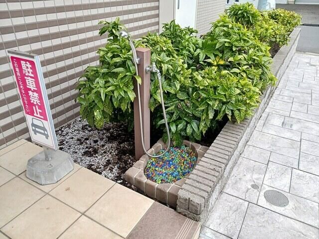 庭