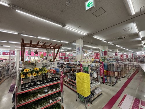 その他　ダイソー　ホームセンターコーナン灘大石川店（その他）まで526m