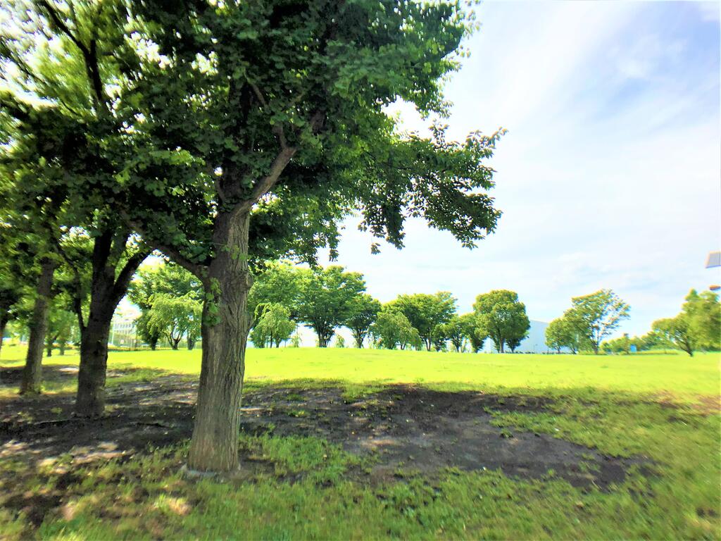 公園　尾久の原公園（公園）まで900m