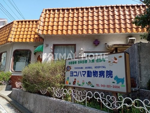 病院　ヨコハマ動物病院（病院）まで536m