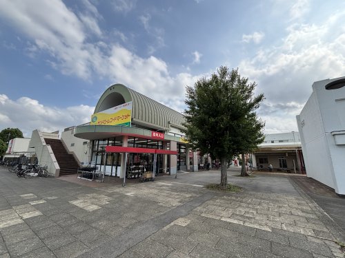 スーパー　ランドロームフードマーケット大津ヶ丘店（スーパー）まで1484m