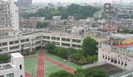 小学校　落合第五小学校（小学校）まで533m